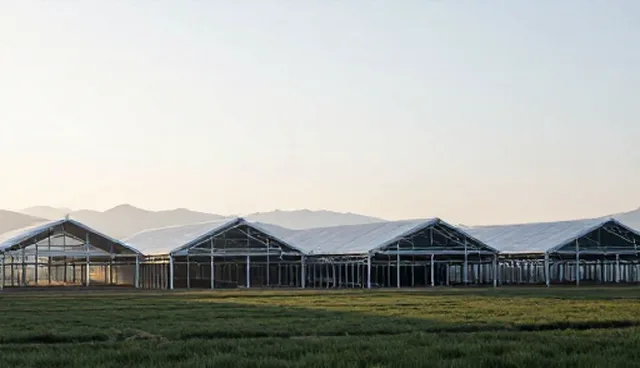 系统集成技术方案优化，提升使用与维护效率